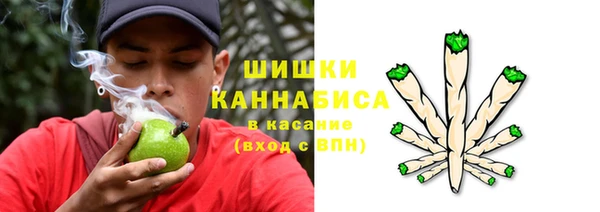 гидра Абаза