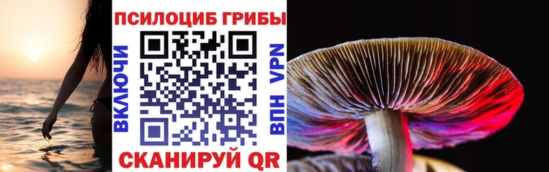 omg маркетплейс  наркошоп  Орск  Псилоцибиновые грибы Psilocybe 